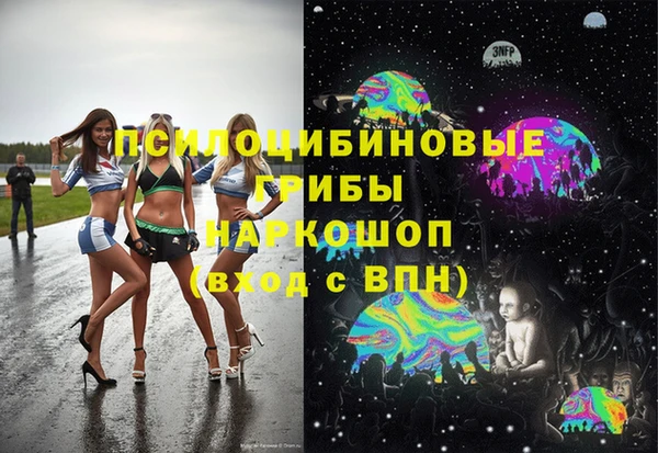 ешки Белокуриха