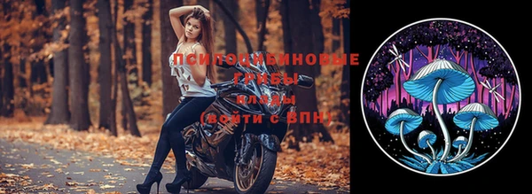 ешки Белокуриха