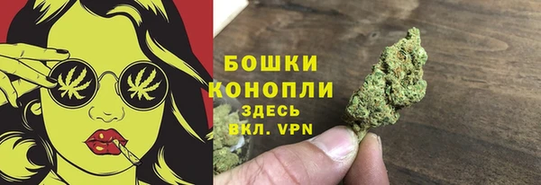 ешки Белокуриха